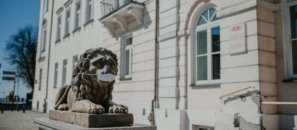 Koronawirus w Płocku. Nawet lwy noszą maseczki ochronne! [ZDJĘCIA]