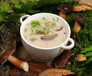 Fenomenalna zupa grzybowa jak u babci – ze świeżych grzybów, z makaronem