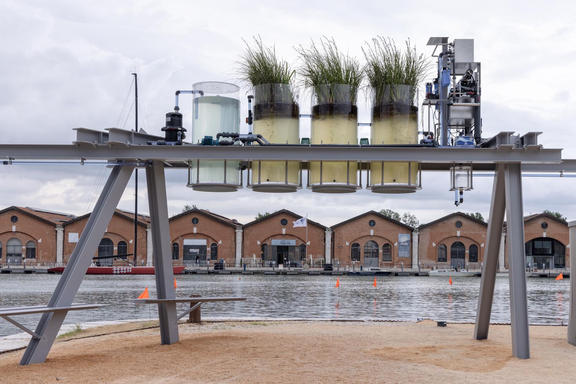 Canal Cafe ze Złotym Lwem - Biennale Wenecja 2025