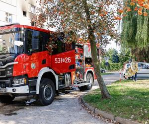 Pożar w bloku w Ostrowie Wielkopolskim. Nie żyje jedna osoba, 10 jest rannych