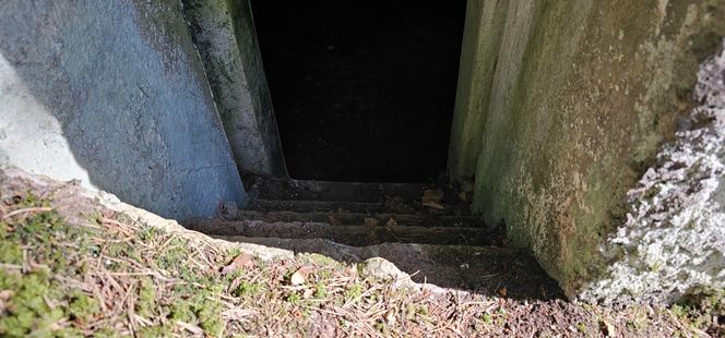 Odwiedziłam jeden z piękniejszych powiatów na Mazurach. To prawdziwy „szlak bunkrowy”