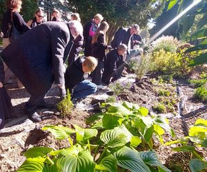 Ogród sensoryczno- naukowy przy SP nr 10 w Zamościu