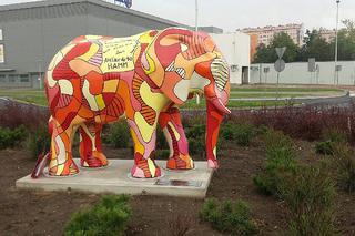 Kolorowy słoń na rondzie w Kaliszu! To dzieło seniorów i młodzieży [ZDJĘCIA]
