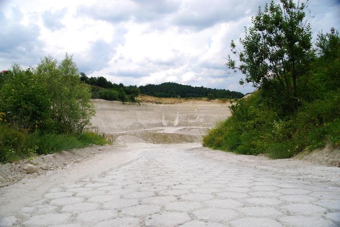 Mielnik to najbogatsza gmina w Podlaskiem 2024 roku