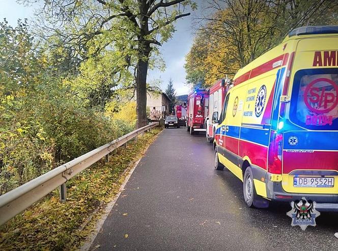 Zaparkowany samochód uderzył w pieszą. Wcześniej stało się coś niespodziewanego 