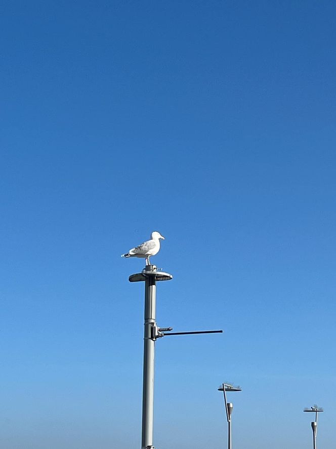 Kołobrzeg w ostatni weekend lutego