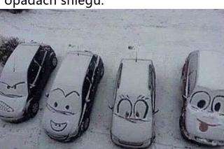 Memy o zimie roztapiają smutki. Te śnieżne obrazki rozbawią cię do łez [TOP 75]