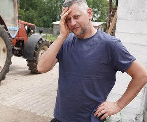Wilki w rejonie Puszczy Knyszyńskiej. Mieszkańcy alarmują
