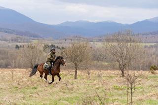 Święto koni - w bieszczadzkiej SG służy ich aż 8!