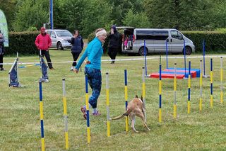  Zawody Agility w Myślęcinku. Psy walczyły o tytuł najzwinniejszego!
