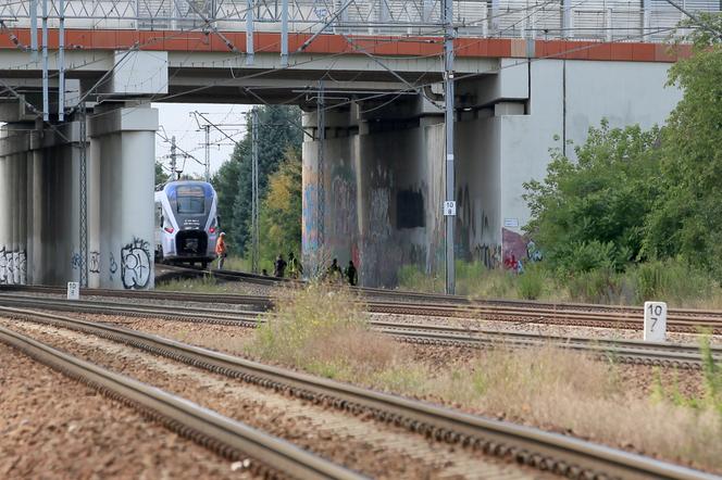 Makabra na torach w Ursusie. Pociąg śmiertelnie potrącił kobietę