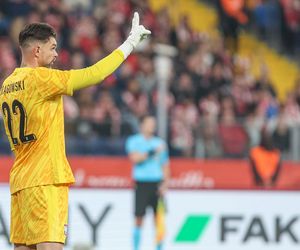 Szał na trybunach podczas meczu Polska - Nowa Zelandia