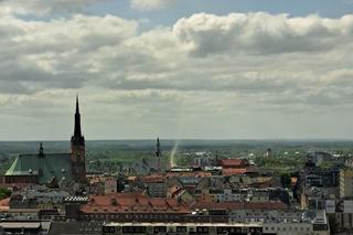 Diabełek pyłowy w Szczecinie