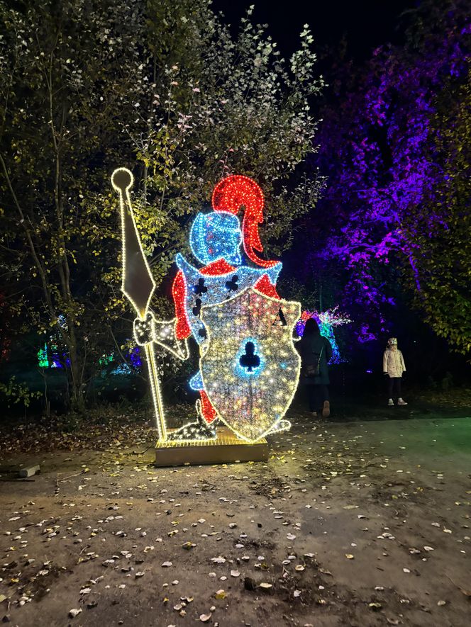 Otwarcie Lumina Parku w Poznaniu. Tegoroczne świecące miasteczko robi fenomenalne wrażenie!