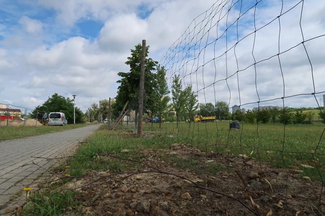 Park Jaworek w Tychach zamienił się w wielki plac budowy [ZDJĘCIA]