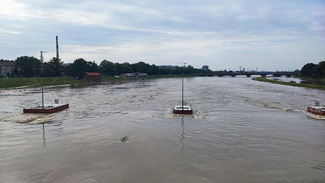 Fala powodziowa we Wrocławiu. Pod wodą są już beach bary i drogi 