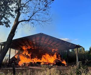 Pożar w Stadzie Ogierów w Łącku pod Płockiem