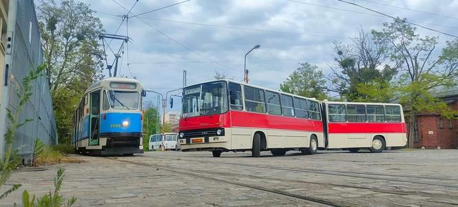 Nocna przejażdżka zabytkowymi autobusami. Klub Sympatyków Transportu Miejskiego zaprasza