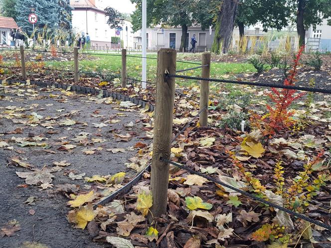 Rośliny posadzone, brakuje tylko kilku elementów. Skwer dr. Kuźniaka w Lesznie prawie gotowy