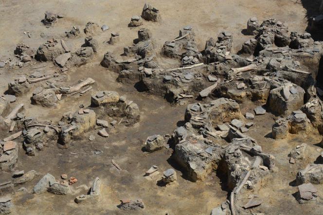 Niezwykłe odkrycie archeologiczne w Chotyńcu na Podkarpaciu