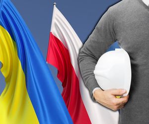 Ukraińcy dają Polsce więcej, niż zabierają