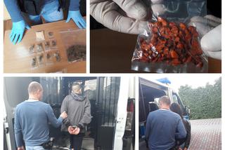 Marihuana, tabletki ekstazy oraz grzyby psylocybinowe nie trafią do klientów