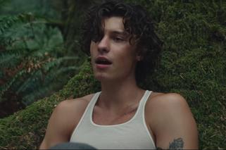 Shawn Mendes: Wonder zachwycił fanów! Jak on dojrzał!