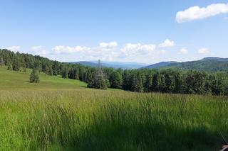 Z Dolnego Śląska w Beskid Żywiecki. Na tych szlakach odpoczniesz od zgiełku [ZDJĘCIA]