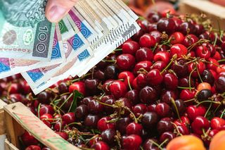  Szokujące ceny hiszpańskich czereśni. W sklepie nawet po 150 zł