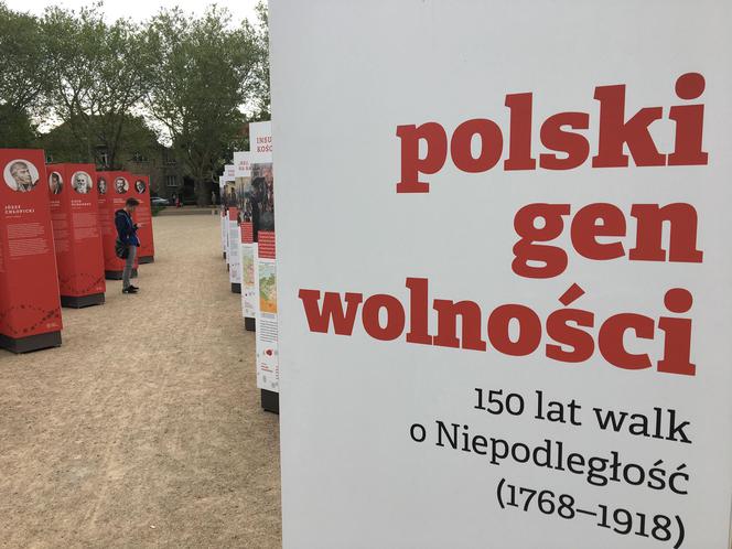 Wystawa na Jasnych Błoniach