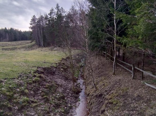 Tak dziś wygląda wioska czarownic Staniszewo i jej najbliższe okolice 