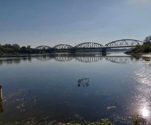 Wisła w Fordonie wyraźnie przybrała i przyspieszyła. Duża woda niesie mnóstwo śmieci i zanieczyszczeń