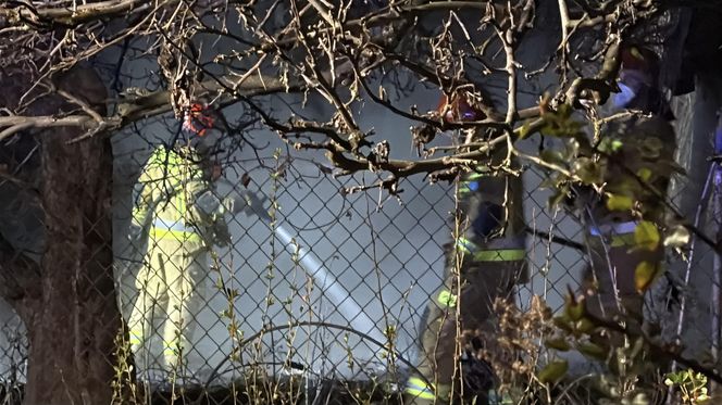 Tragedia na terenie ogródków działkowych. Altanka stanęła w ogniu. W srodku znaleźli zwęglone ciało