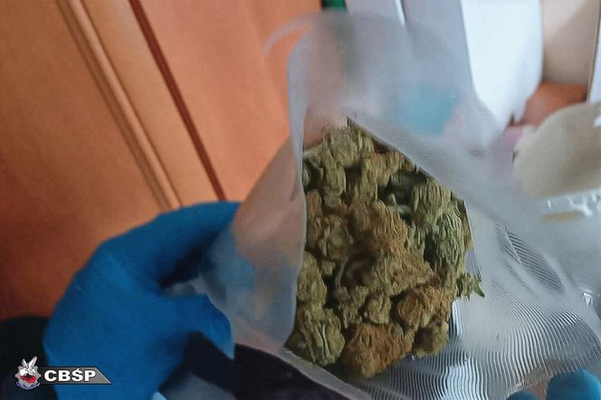 Groźny gang narkotykowy rozbity na Mazowszu. Dziennie sprzedawali nawet kilkaset działek