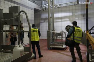 Zagłodzone i brudne konie były niehumanitarnie mordowane? Policjanci skontrolowali hodowlę w Wodzisławiu Śląskim [ZDJĘCIA]