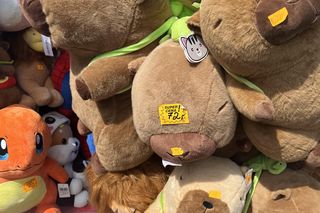 Ceny w nadmorskich kurortach zwalają z nóg. Pluszak za 150 zł?