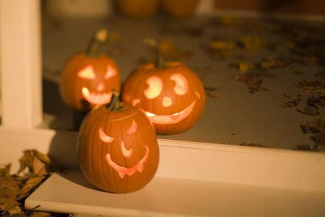Halloween dynie