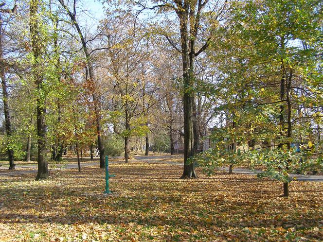 Tarnów: Pijesz alkohol w plenerze w tych miejscach? Mandat masz jak w banku!