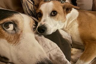 Tak mieszkają Aleksandra Kwaśniewska i Kuba Badach