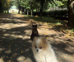 Daisy Najman, pies Marcina Najmana