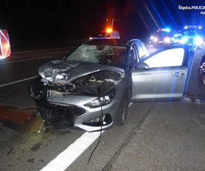 Wypadek na autostradzie A1 w Szczejkowicach. 35-latek został śmiertelnie potrącony