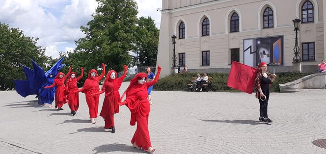 Wdowy milcząco przeszły przez Lublin. Był to protest przeciwko budowie kopani węgla przy Poleskim Parku Narodowym