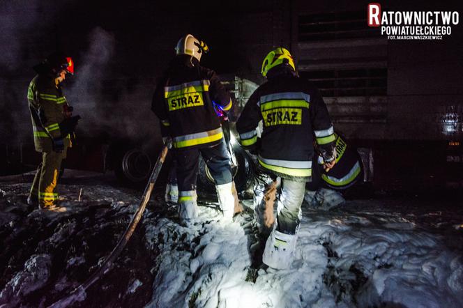 Droga krajowa numer 16 była całkowicie zablokowana. Płonęła ciężarówka ze zwierzętami [ZDJĘCIA]