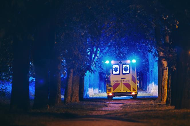 ambulans jadący nocą po lesie