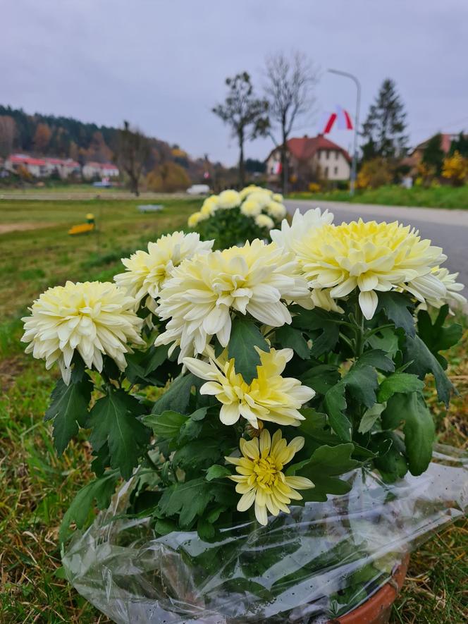 Gmina Stawiguda. Nietypowy pomysł uczczenia kolejnej rocznicy odzyskania Niepodległości