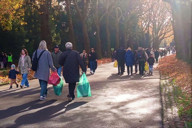 1 listopada na Cmentarzu Centralnym w Szczecinie