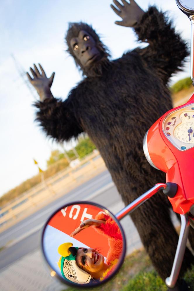 Nadchodzi Jungle Night w FACTORY Kraków. Rabaty sięgną nawet 50 procent!