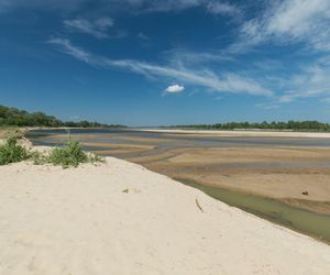 Plaża w Ciszycy (pow. piaseczyński)