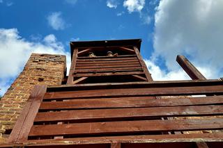 Walentynki w mieście zakochanych. Na wyciągnięcie ręki będzie najprawdziwsza czaszka św. Walentego, darmowy koncert da Kwiat Jabłoni