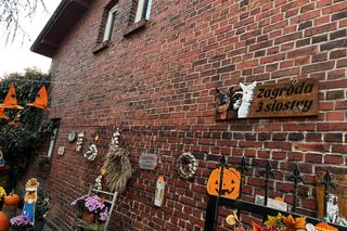 Zagroda 3 siostry w Kamieniu przyciągnęła całe rodziny w ciepły jesienny weekend ZDJĘCIA